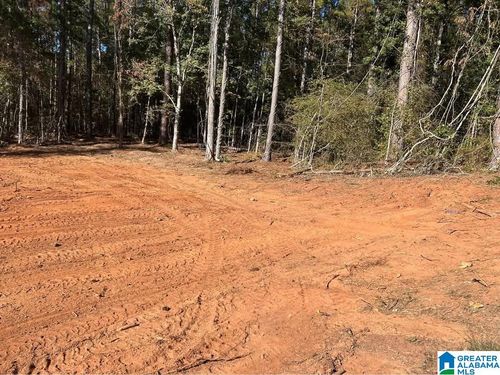lot-28-534 Foster Cove Dr, LINEVILLE, AL, 36266-9053 | Card Image
