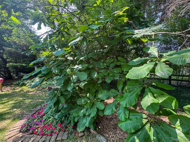 2210-Lancaster-rd-Bloomfield-Hills-mi-united-states_39.jpg | Image 43