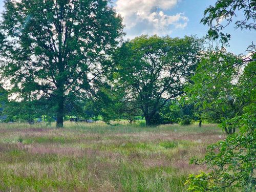 Vacant Springborn Road, Casco Township, MI, 48064 | Card Image