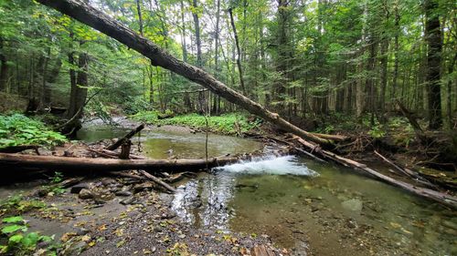 00 Brook Rd, Chelsea, VT, 05038 | Card Image