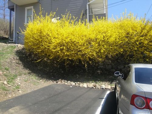 42 Wayne Ave, Suffern, NY, 10901-4613 | Card Image