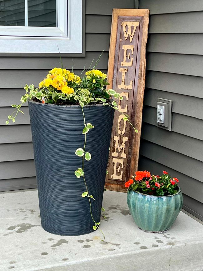 Feelings of summer on the front step! | Image 54