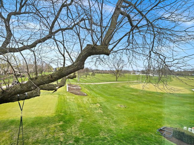 1428 Calcutta Ln, House other with 5 bedrooms, 6 bathrooms and 3 parking in Naperville IL | Image 4