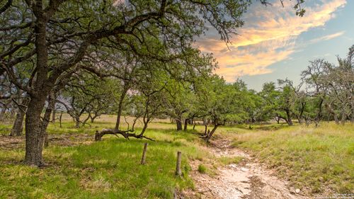 996 Fm 479, Mountain Home, TX, 78058 | Card Image