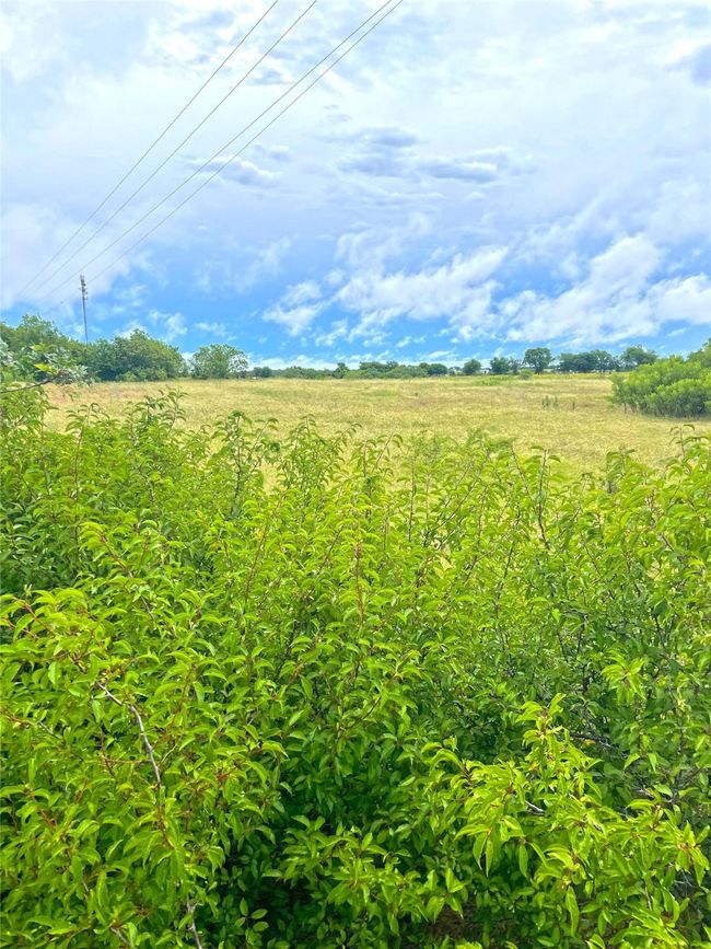 View of local wilderness featuring rural landscape | Image 13