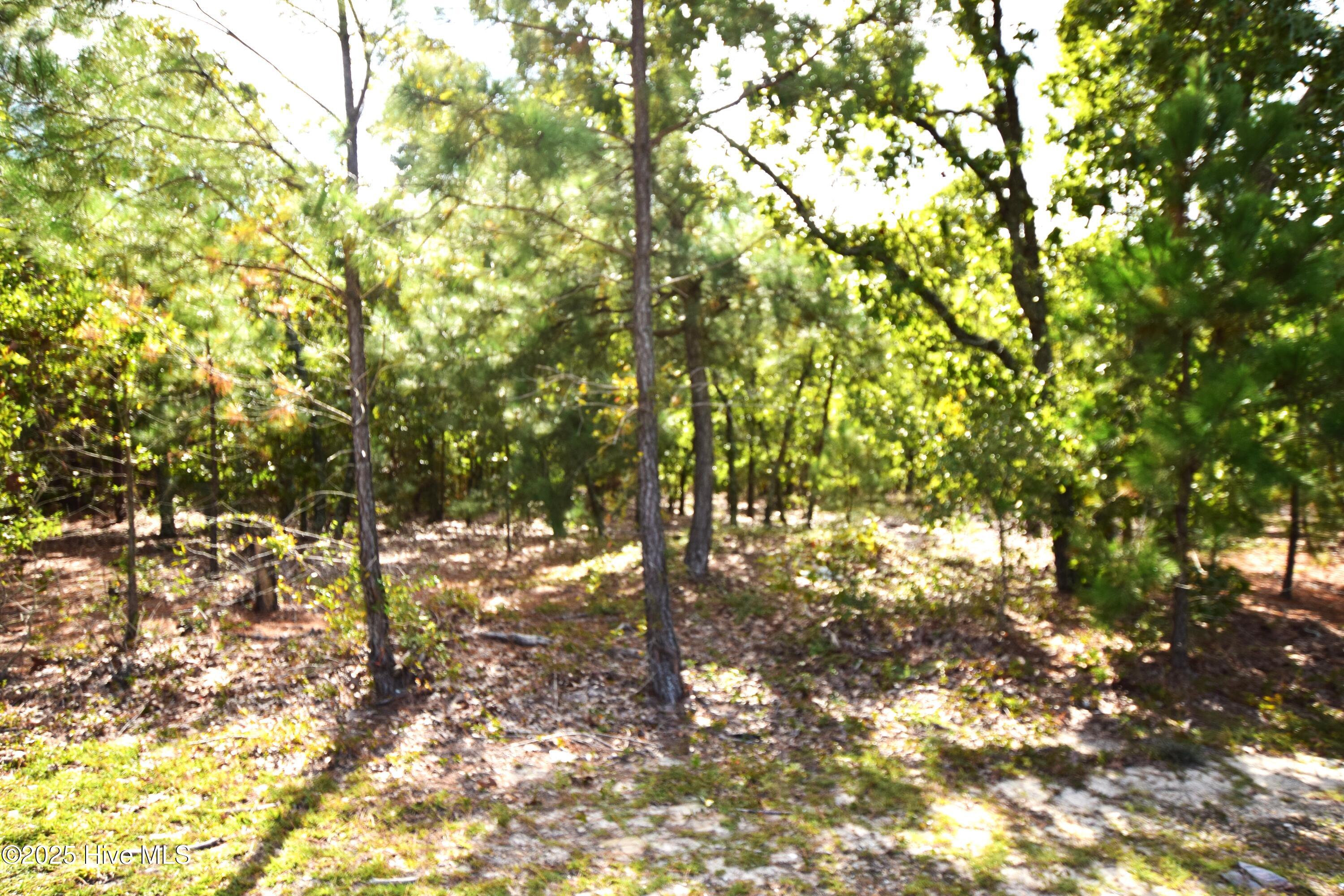 Land in Jackson Springs 5