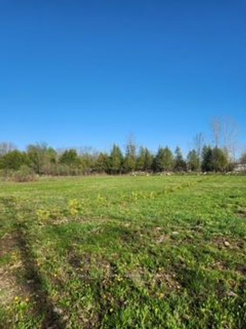 N/A Diversion Rd, Apple Hill, ON, K0C | Card Image