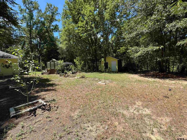 4159 Scrub Pine Rd, House other with 3 bedrooms, 2 bathrooms and null parking in Big Sandy TX | Image 10