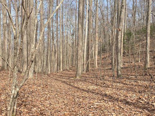 13.75 Ac Caesar Gap Road, Hiawassee, GA, 30546 | Card Image