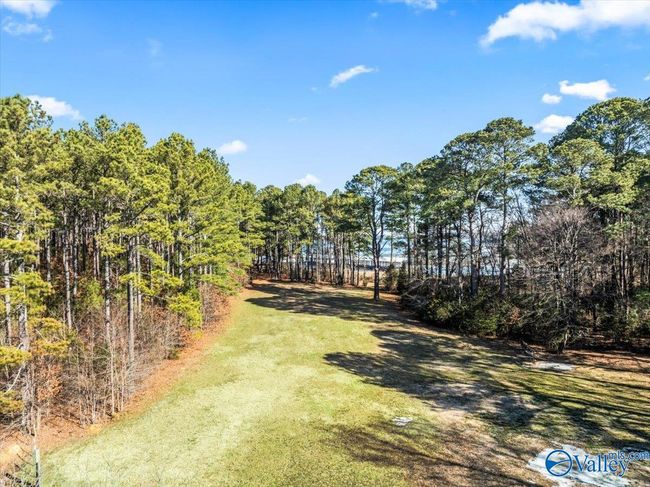 331 John Cabaniss Rd, Home with 0 bedrooms, 0 bathrooms and null parking in Langston AL | Image 11