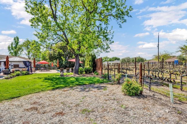 1790 Mckinley Rd, House other with 3 bedrooms, 3 bathrooms and 6 parking in Napa CA | Image 41