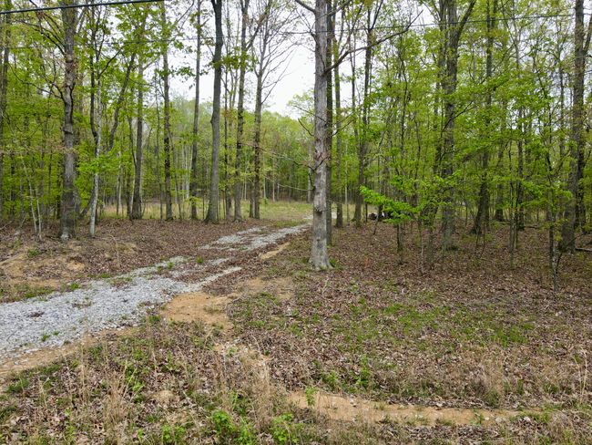 0 Deerwood Dr, Home with 0 bedrooms, 0 bathrooms and null parking in Sewanee TN | Image 11
