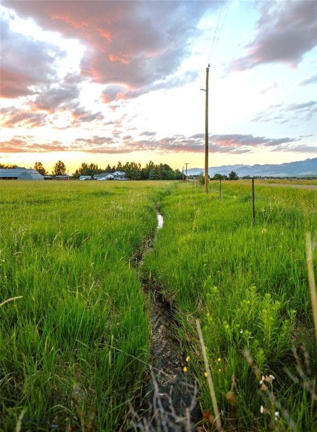 Seasonal Ditch! | Image 23