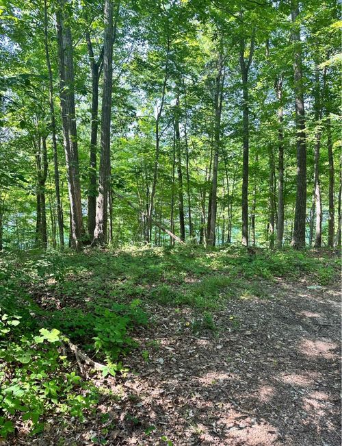 0 N Shore Dr, Bronston, KY, 42518 | Card Image