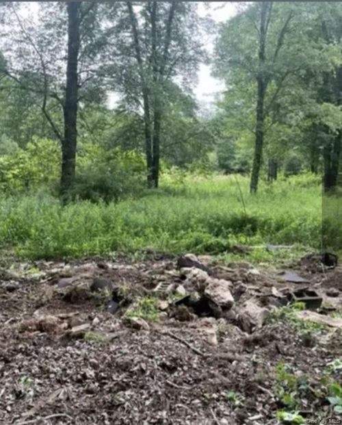 358/80 Ferguson Lane, Mamakating, NY, 12790 | Card Image