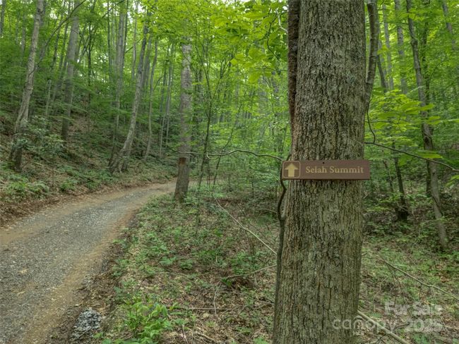 000 White Rock Branch Rd, Home with 0 bedrooms, 0 bathrooms and null parking in Candler NC | Image 17