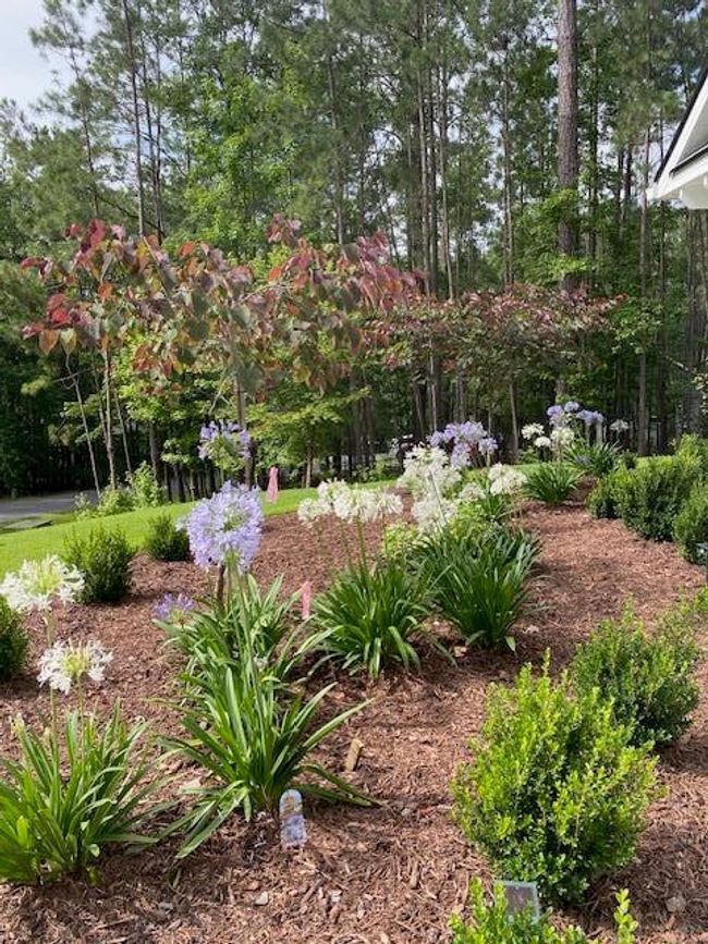 image2 | Image 6