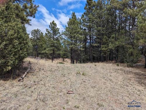 TBD Lot 4 Argyle Rd, Hot Springs, SD, 57747 | Card Image