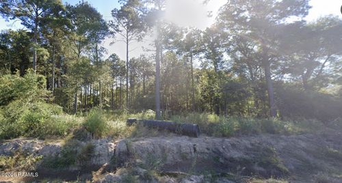 30156 Bornsdall Rd, Elton, LA, 70532-3406 | Card Image