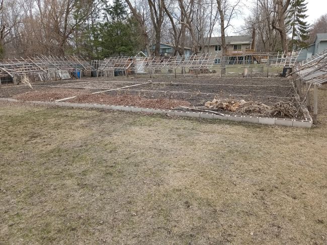 Massive garden area | Image 34