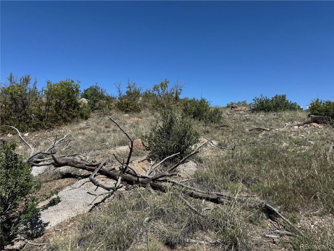 29 18 X, Home with 0 bedrooms, 0 bathrooms and null parking in Cotopaxi CO | Image 22