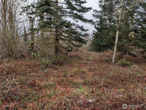 427 XX 156th St Se, Gold Bar, WA, 98251 | Card Image