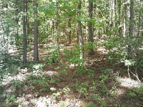 8 acs Seacock Chapel Road, Zuni, VA, 23898 | Card Image