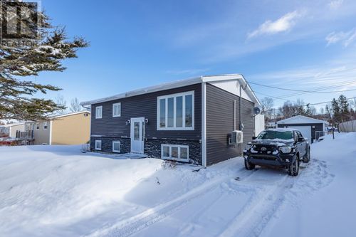 17 Bishop Ave, Pasadena, NL, A0L1K0 | Card Image
