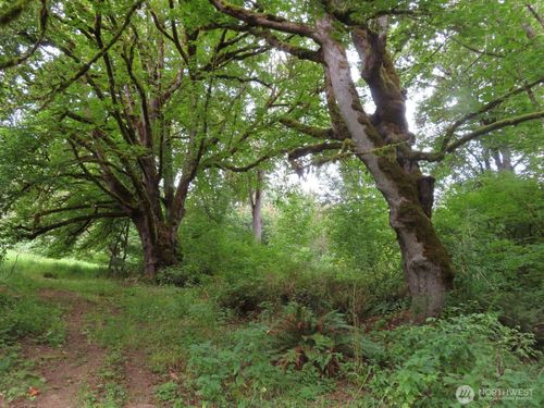 0 XXX Del Ray Rd, Mossyrock, WA, 98564 | Card Image
