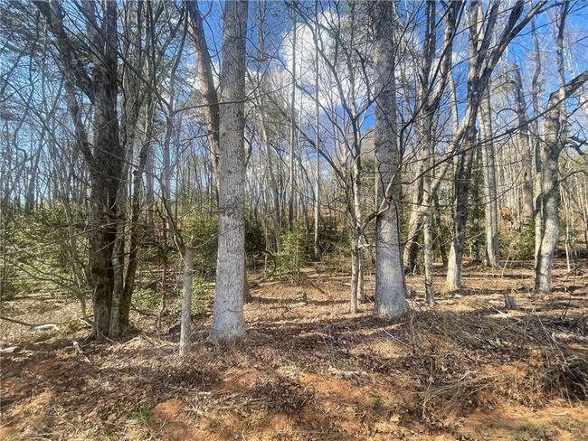 00 Academy Rd, Home with 0 bedrooms, 0 bathrooms and null parking in Mountain Rest SC | Image 26
