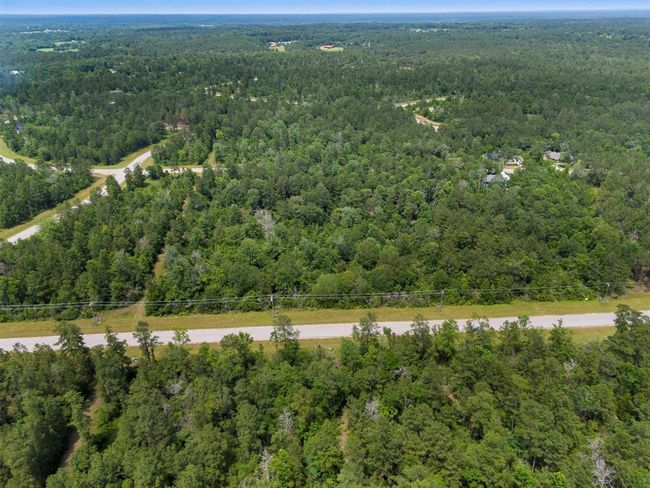 110 Coyote Run, Home with 0 bedrooms, 0 bathrooms and null parking in New Waverly TX | Image 25
