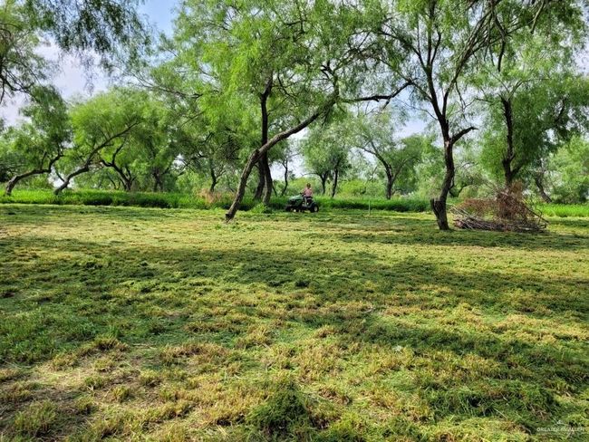 View of green lawn | Image 4