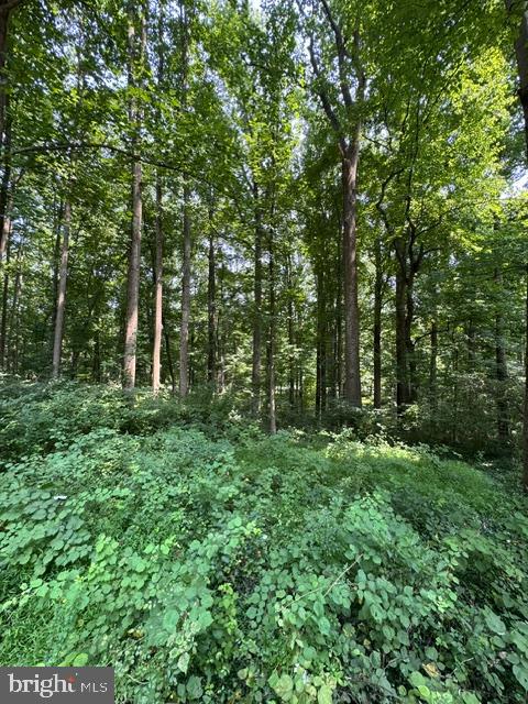 Land in SYKESVILLE 4