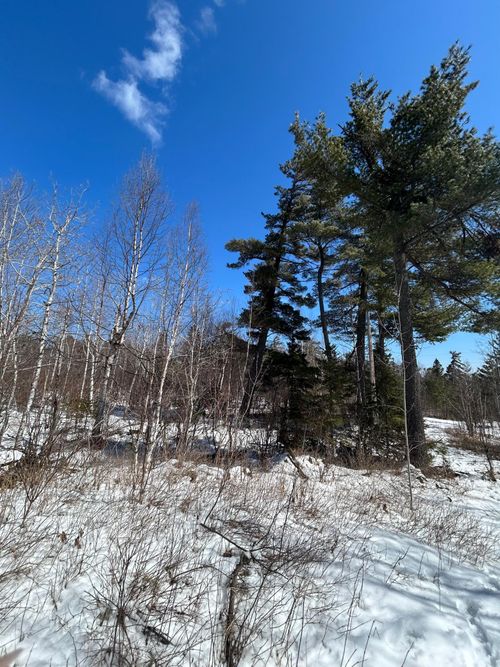 4375 Wood Ridge Drive, Beaver Bay, MN, 55601 | Card Image