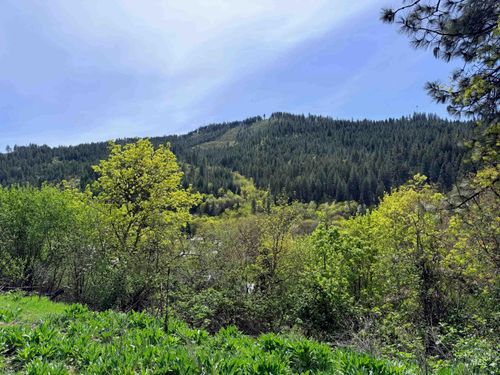 1620 & 0 Forsman Ave, Orofino, ID, 83544 | Card Image