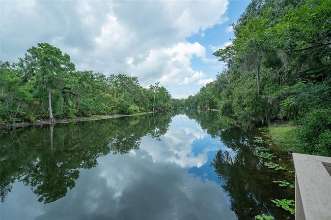 Hillsborough River | Image 44