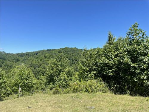 370 Jackie Dye Rd, Swords Creek, VA, 24649 | Card Image