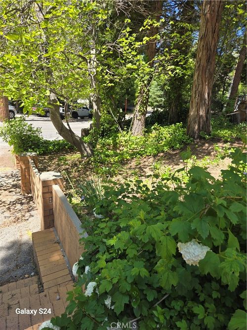 29053 Hook Creek Rd, Cedar Glen, CA, 92321 | Card Image