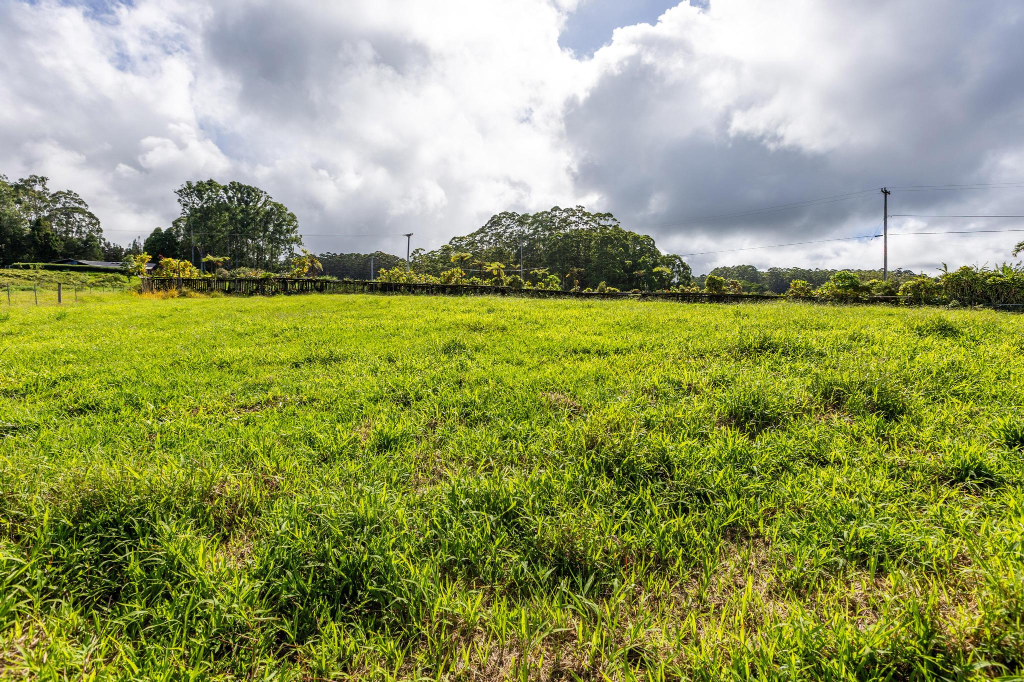 Land in Hakalau 3