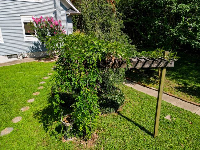 Back Yard View 4 | Image 29