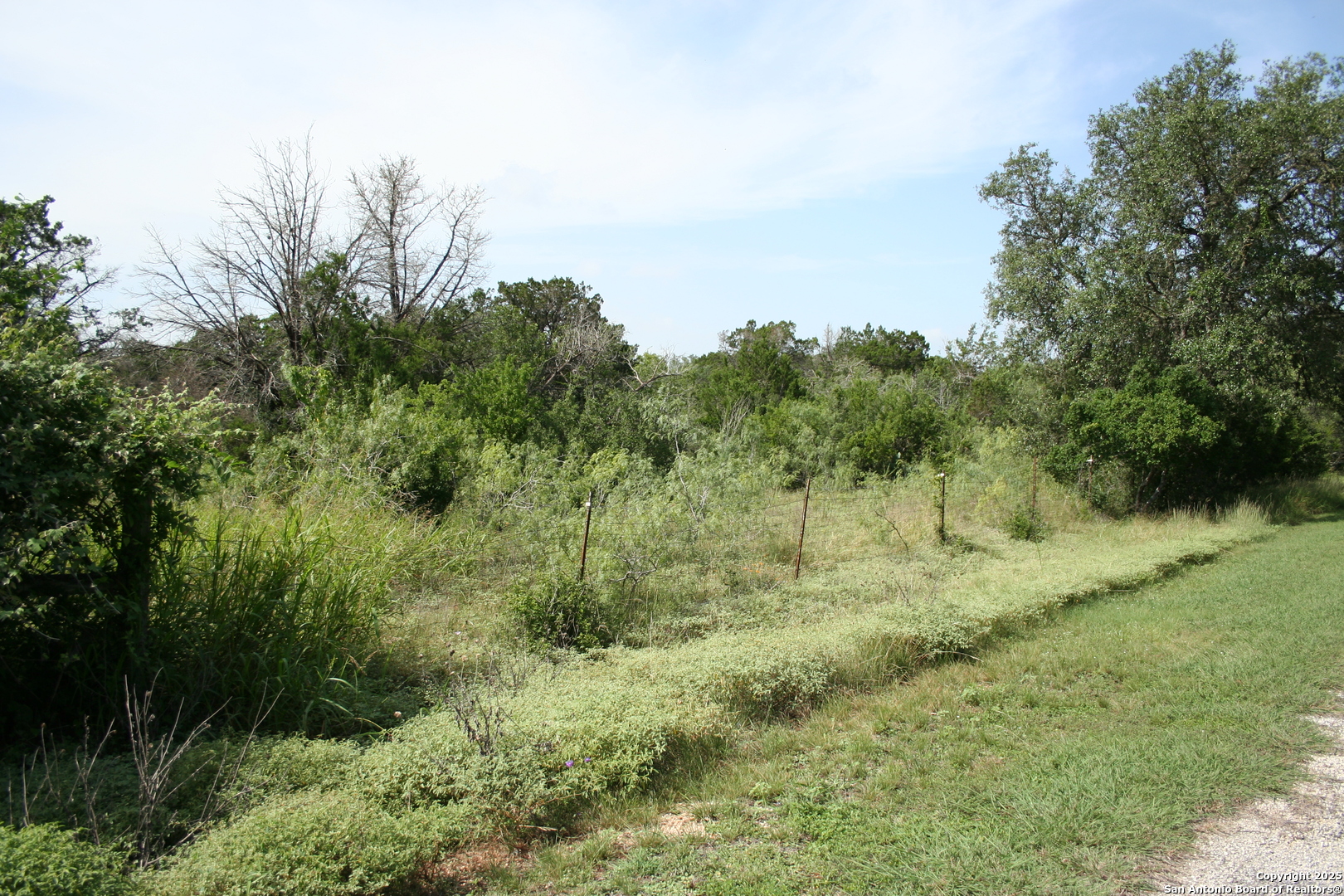 Land in New Braunfels 3