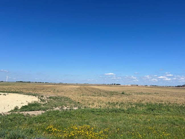 0 Hwy 84, Home with 0 bedrooms, 0 bathrooms and null parking in Roscoe TX | Image 7