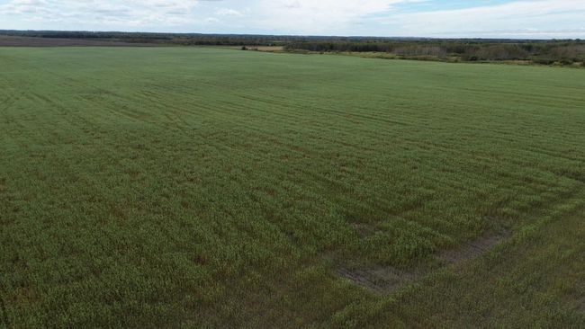 DJI_0022.JPG | Image 14