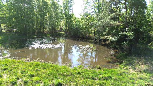 191 Fsr 587, Kennard, TX, 75847 | Card Image