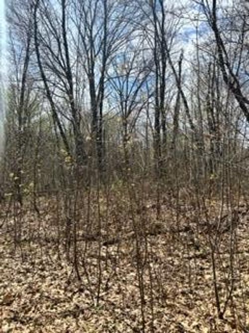 XXX Opal Ln, Cushing, MN, 56443 | Card Image