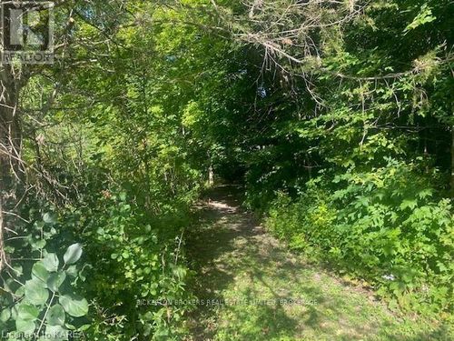 000 County Rd 11, Jones Falls Road, Rideau Lakes, ON, K0G1E0 | Card Image