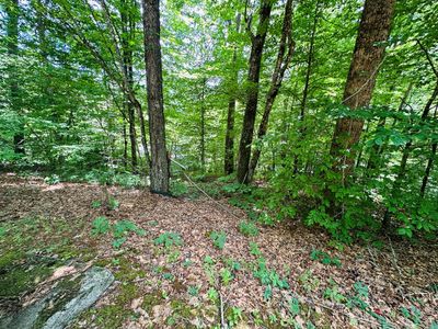 Lot 31 Eagle Ridge Circle, Home with 0 bedrooms, 0 bathrooms and null parking in Whittier NC | Image 1