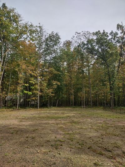 0.46 Acres Birchwood WI | Image 1