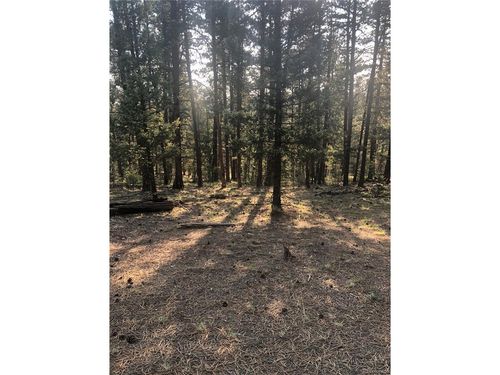 469 Echo Lake Dr, Lake George, CO, 80827 | Card Image