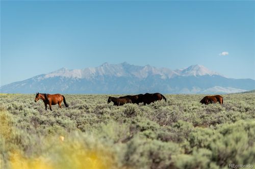 000 Hwy 159, Sanford, CO, 81151 | Card Image